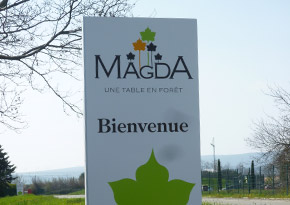 Illustration Logo Magda